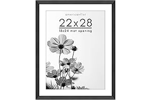 Picture Frames, Large Frames with Mat