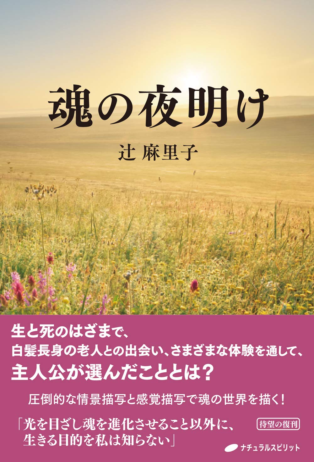Amazon.co.jp: 辻 麻里子: 本、バイオグラフィー、最新アップデート