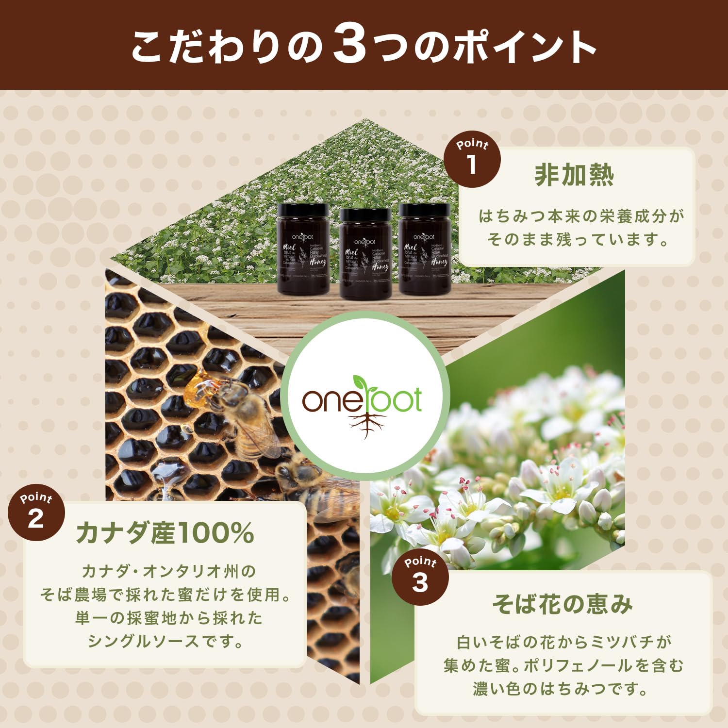 Amazon | OneRoot そば生はちみつ カナダ産 (1kg)｜ 非加熱 無添加