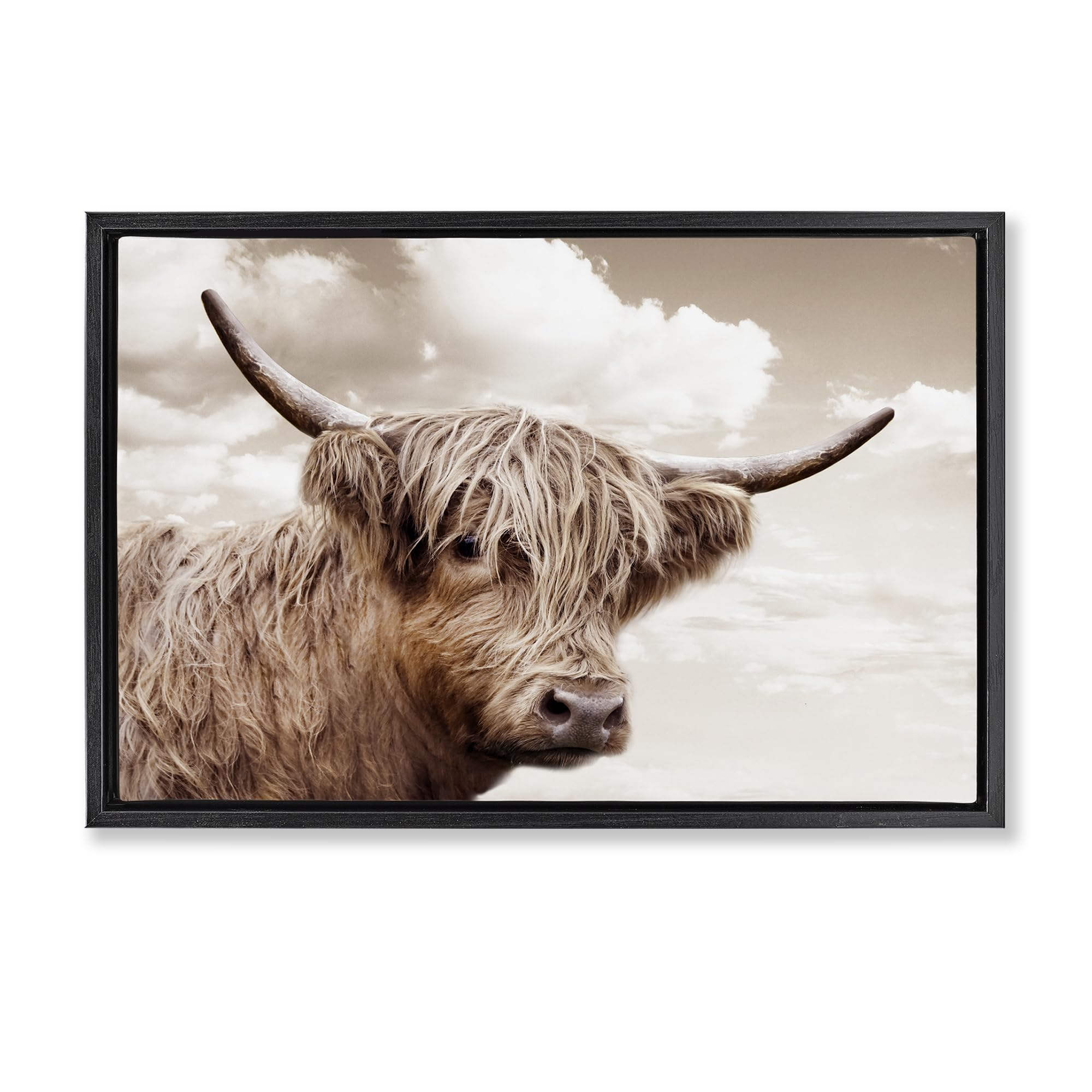 Stupell Industries 'Shaggy Highland Cow & Clouds', Floating Frame Canvas Art, Black, 31 x 21 Inches, Easy to Hang and Sturdy, Made in USA, by CAD Designs