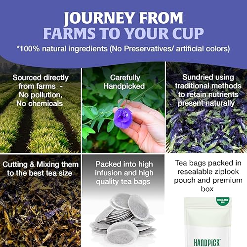 Miniatura 5 de HANDPICK, Té de flores de guisante mariposa (100 bolsas de té de hierbas), sin cafeína, sin OGM, flores de guisante de mariposa secas de primera