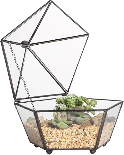 NCYP Terrario geométrico de vidrio pequeño, contenedor cerrado en caja de joyas, maceta para suculentas, decoración de jardín para interiores y