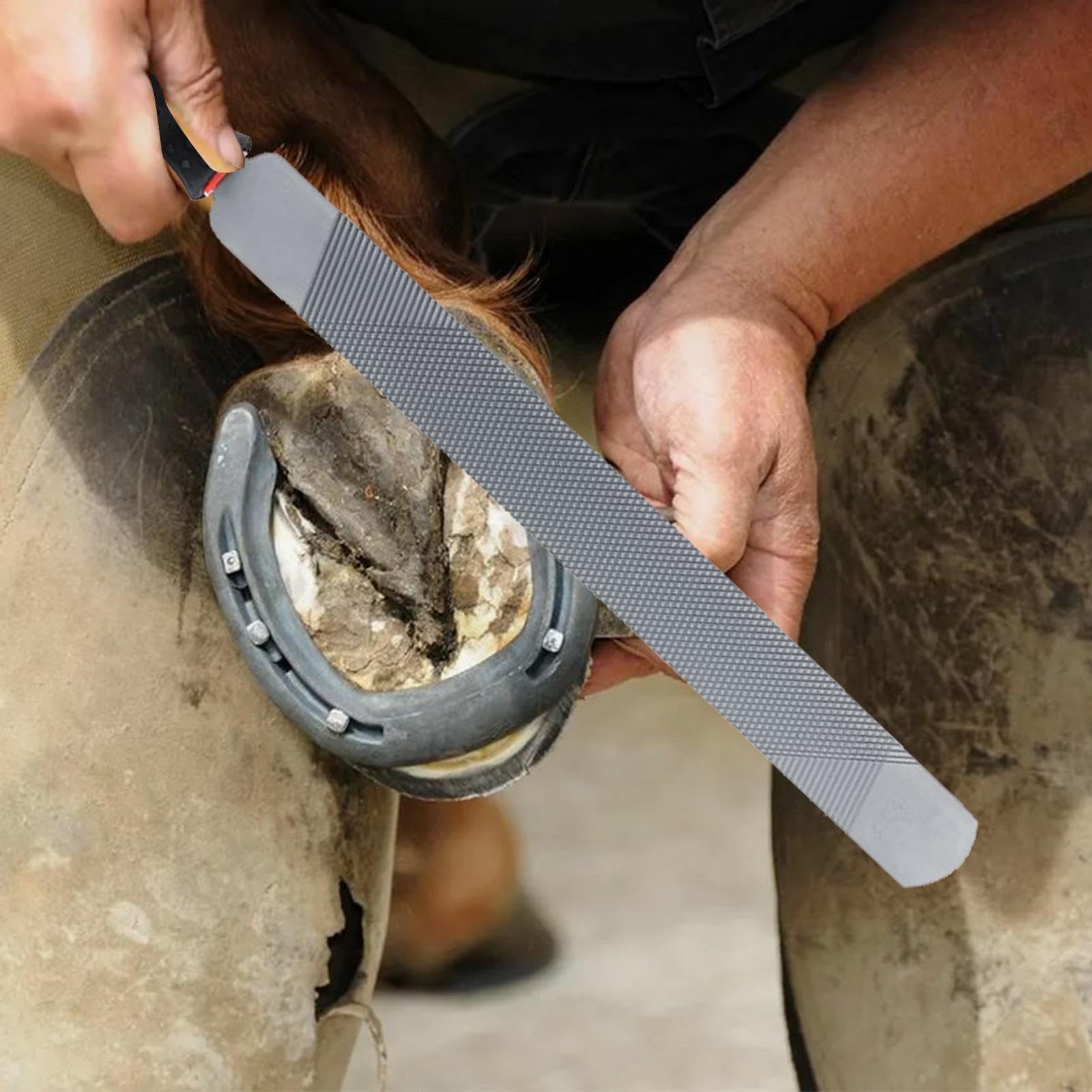 Râpe – Outil de Coupe de Sabots | Râpe Farrier – Farrier – Répartition des Sabots Double Face du Cheval – Outil de Coupe Ergonomique – pour chèvre, Vache, âne, Cochon, Sabots d'animaux, Animal