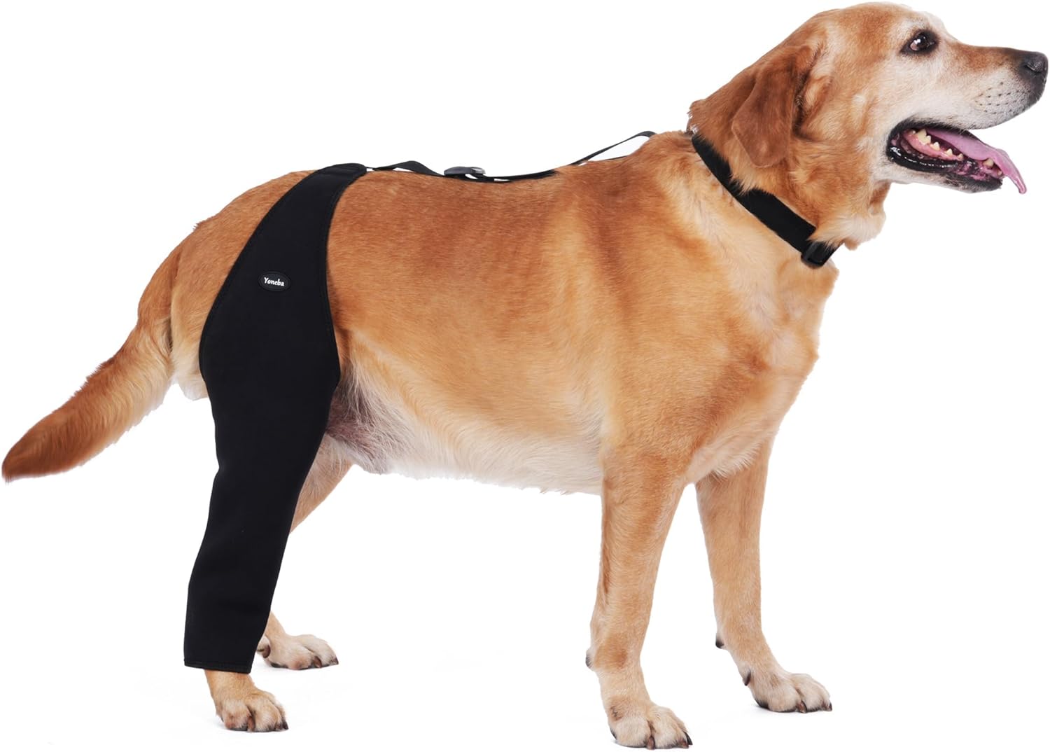 Dog Recovery Sleeve Back Leg Waterproof Diving Material,Dog Leg Sleeve to Stop Licking and Biting Firm and Secure, Adjustable Size, 2.5mm Thick Comfortable Alternative to Cone Collars (Large)