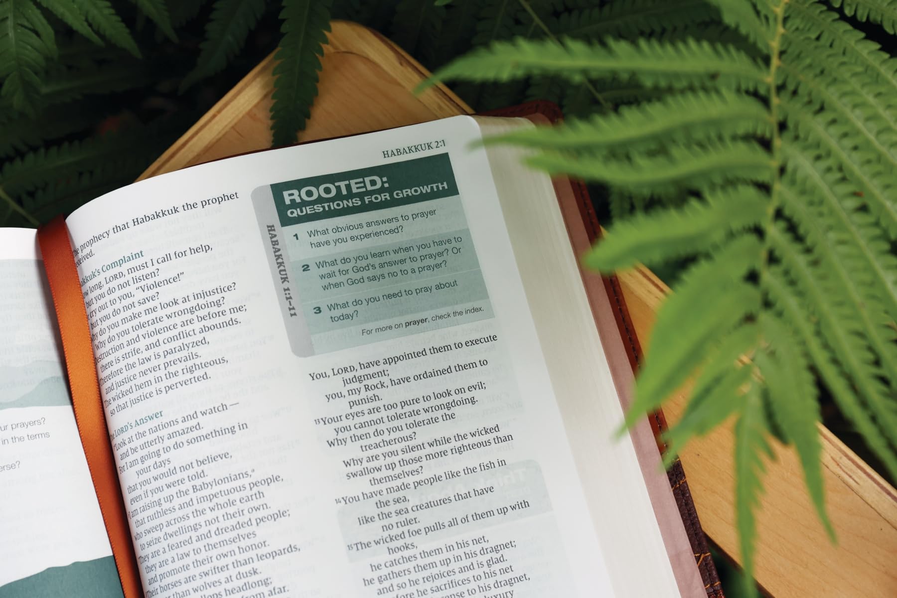 Rooted: The NIV Bible for Men, Leathersoft, Brown, Comfort Print: Shaping Men for Faithful Living in Today’s World