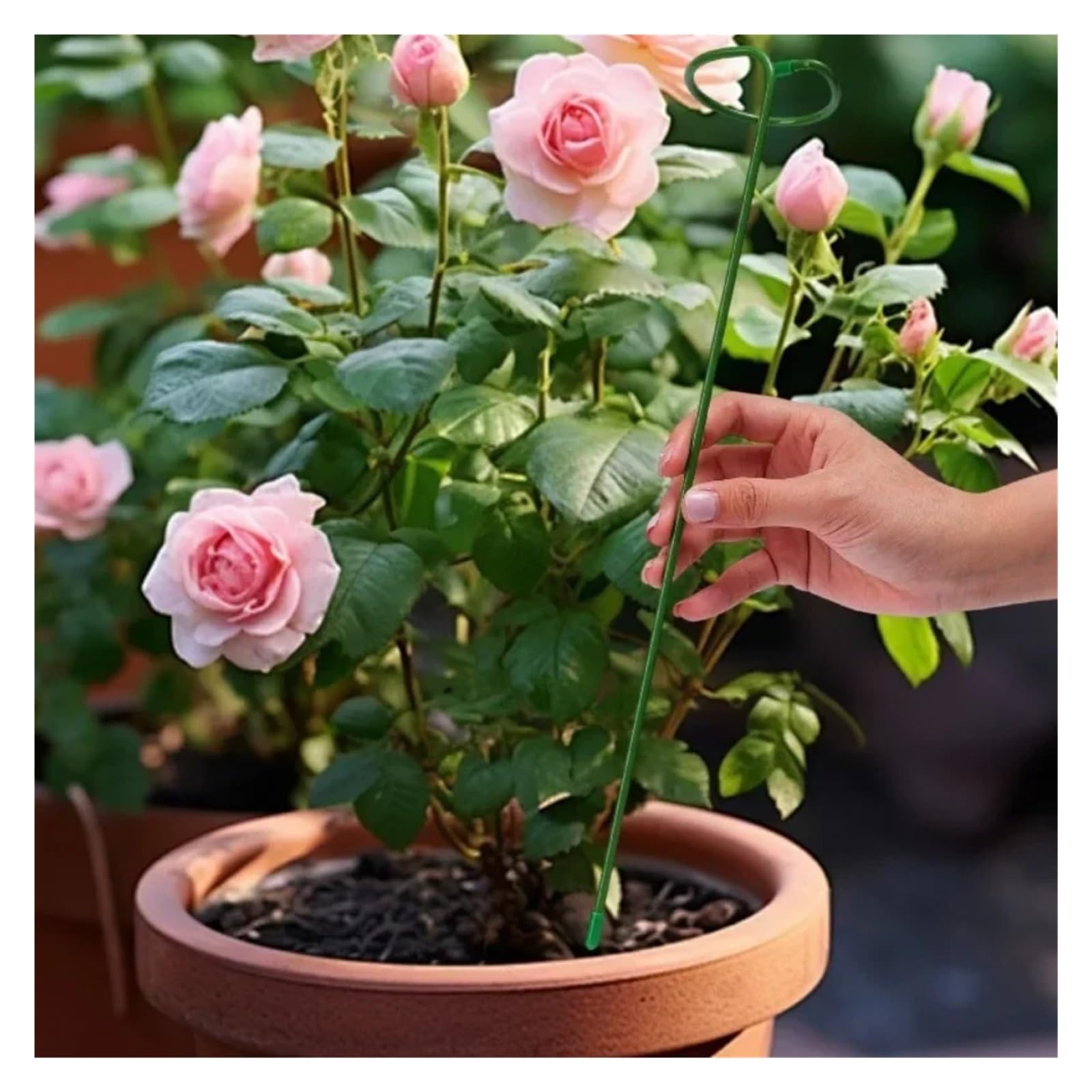 Tuteurs Pour Plantes Piquets de support for plantes de jardin vert