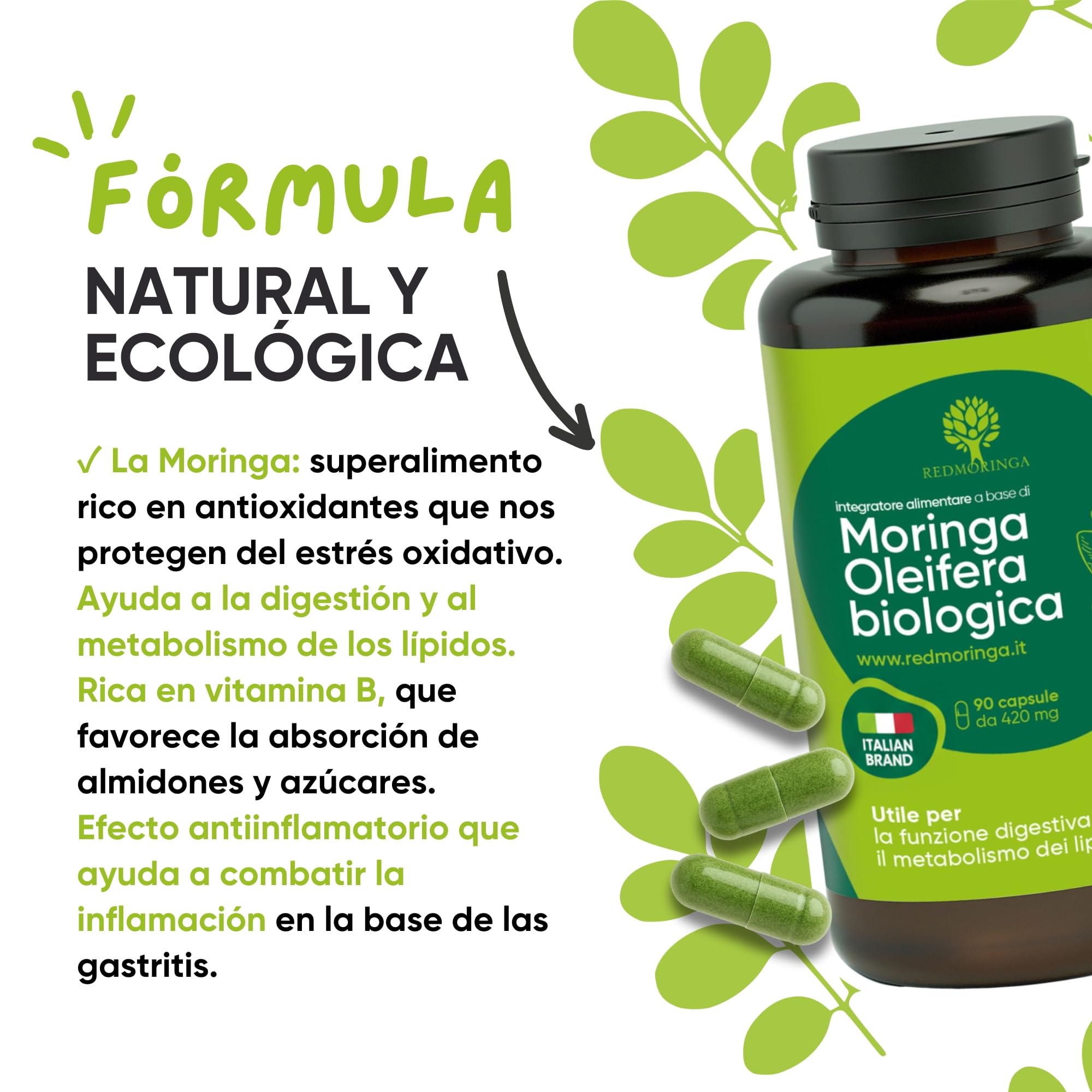 RedMoringa Moringa Oleifera Bio | Moringa Cápsulas Pura 100% Natural | Cápsulas Vegetales | Superalimento para Digestión y Metabolismo de Grasas | 270 Cápsulas Made in Italy