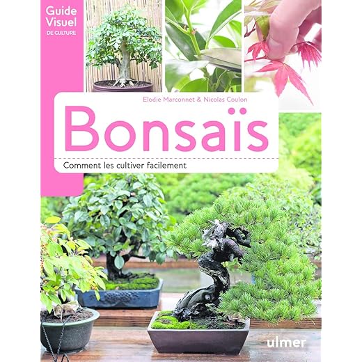 Bonsaïs - Comment les cultiver facilement