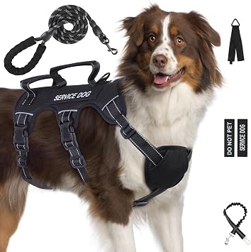 Escape Proof Dog Harness for Large Medium Sized Dogs Six Point Adjustable, Service Dog Vest Harness and Leash Set, No Pull Dogs Harnesses with Handle, XL Dog Harnesses for WalkingBlack, XL