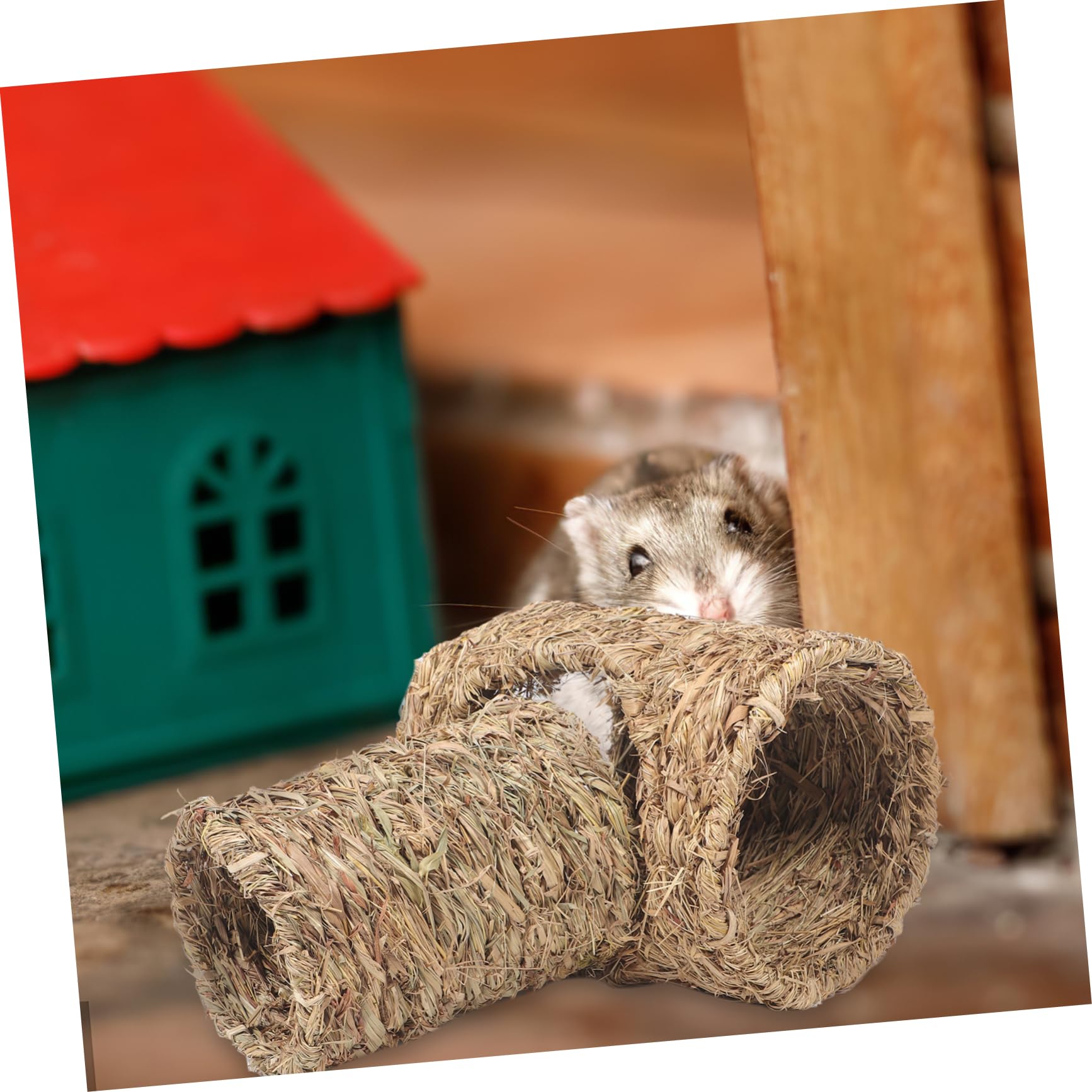 Garneck Pet Toy Tunnel Set 2 Pack Small Animal Hideout Woven Grass Safe Cozy Nest for Chinchilla Rabbit Hamster