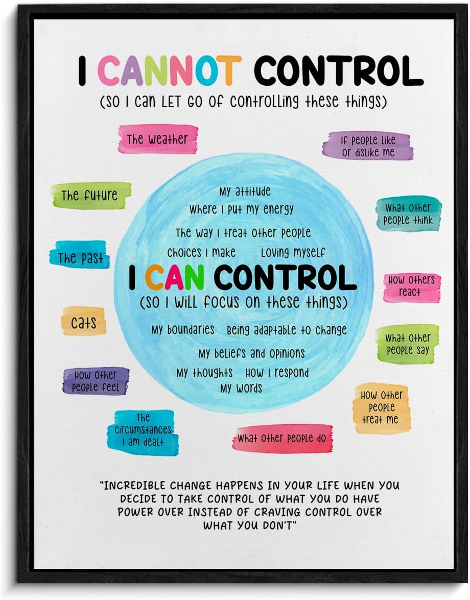 Mental Health Framed Canvas Wall Art Psychology Poster Print Wall Decor I Can Control I Cannot Control Painting for Calming Corner Therapy Office Classroom Decoration