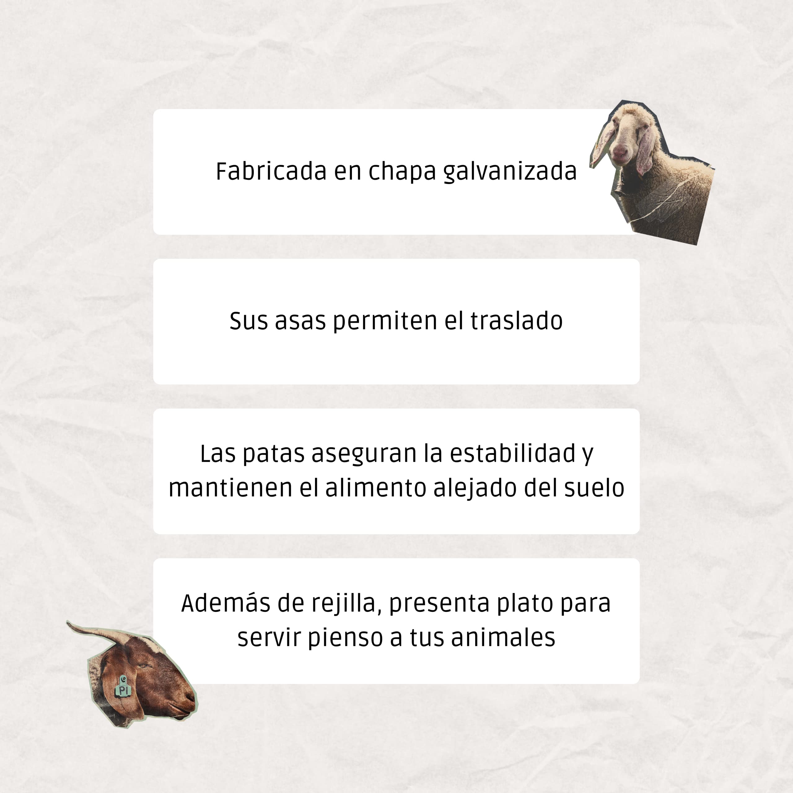 Forrajera con Patas para Ovejas, Corderos y Cabras –Alimento Alejado del Suelo - Rejilla para Rellenar Cómodamente y Evitar Despilfarro– para Interior y Exterior – De Chapa Galvanizada