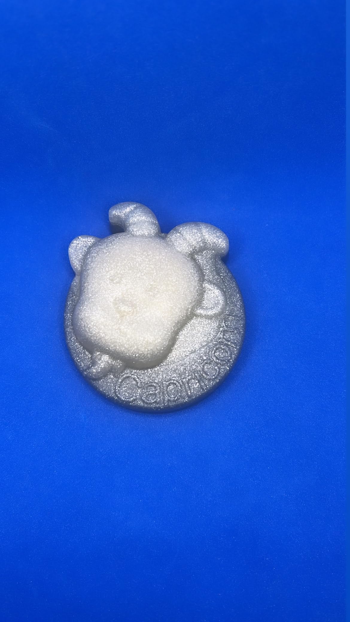 Capricorn Soap, Crystal Inside Soap, Gemstone Soap, Bourbon Wood Vanilla Scent, Zodiac Soap, Horoscope Gift, Vegan Bar Soap, Astrology