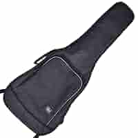 PRDX PARADOX TOKYO ギターケース ギグバッグ Amazon.co.jp: PARADOX TOKYO PRDX-10-EG エレキギター用ソフト