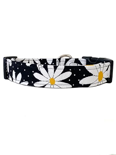 Black and White Daisy Dog Collar with Buckle - Made in the USA - Handmade by Collars by Design X-Large