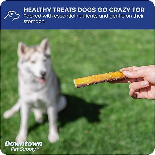 Miniatura 4 de Downtown Pet Supply Bully Sticks - Golosinas dentales y masticables para perro, tiras de carne natural premium de 6 y 12pulgadas, extra gruesas, sin