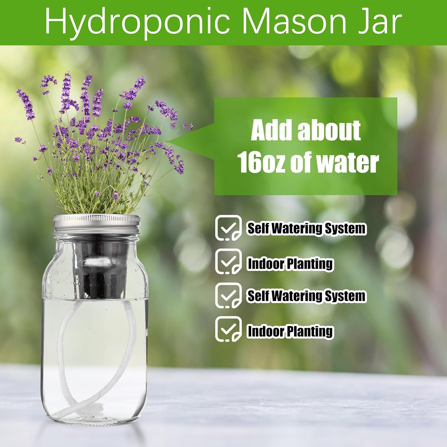 6 Set Hydroponic Herb Garden Planter Indoor Kit, Include 6 Self Watering Mason Jars 6 Planting Baskets 6 Pre Sown Growth Plugs and 6 Absorbent Cores Herb Growing Kit for Practical Gardening