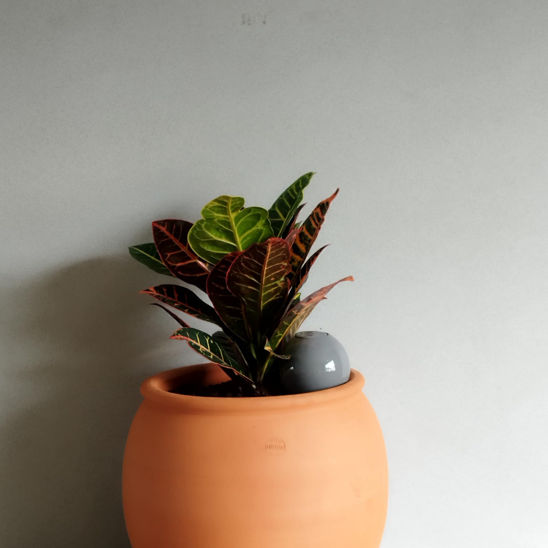 Olla Terre Cuite 40 Cl Pastel Pistache – Arrosage Autonome Écologique Plantes Intérieur – Autonomie 2-3 Jours