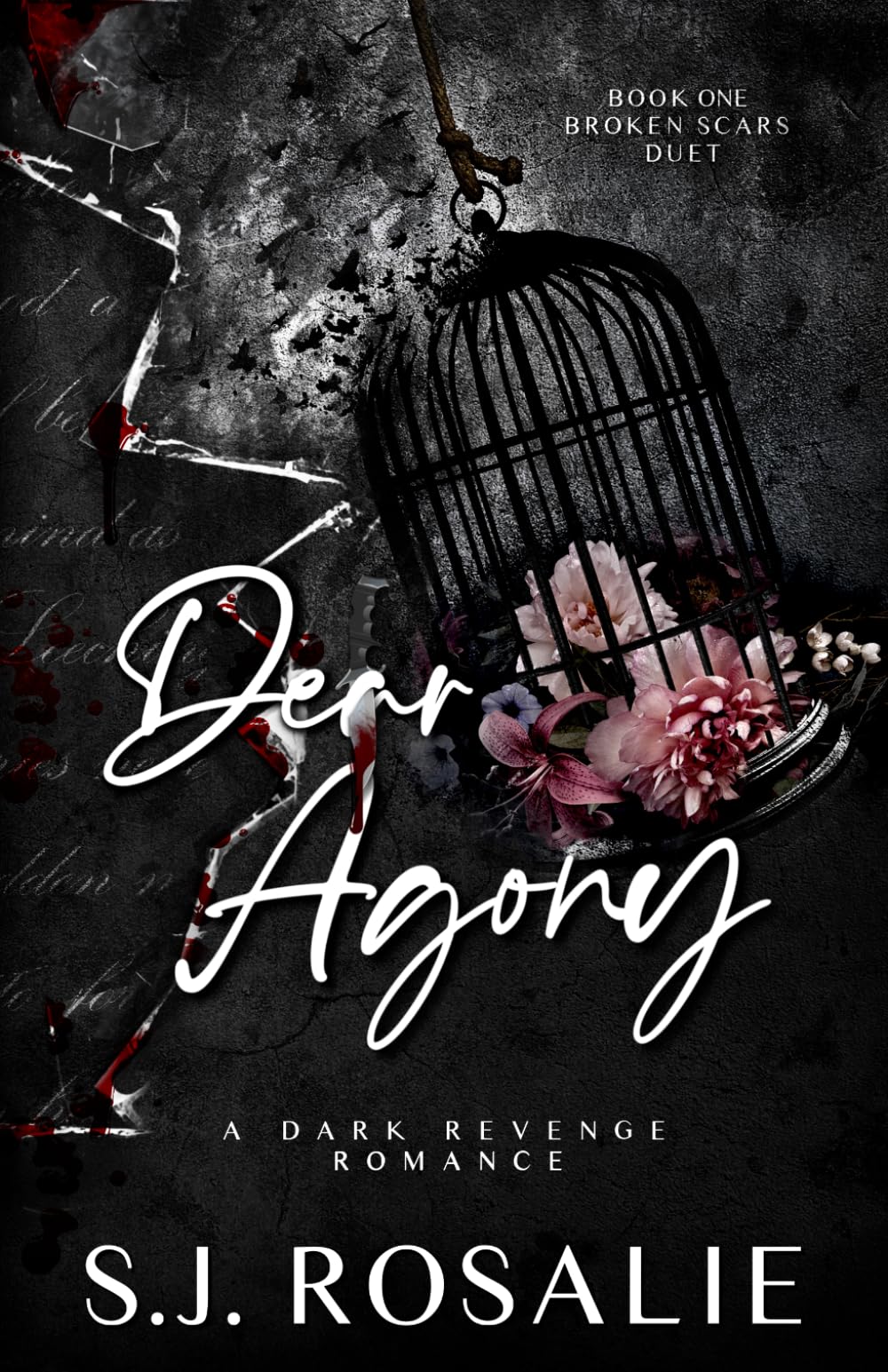Dear Agony: A Dark Revenge Romance (Broken Scars Duet, Book 1)