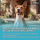 Ver la foto 5
