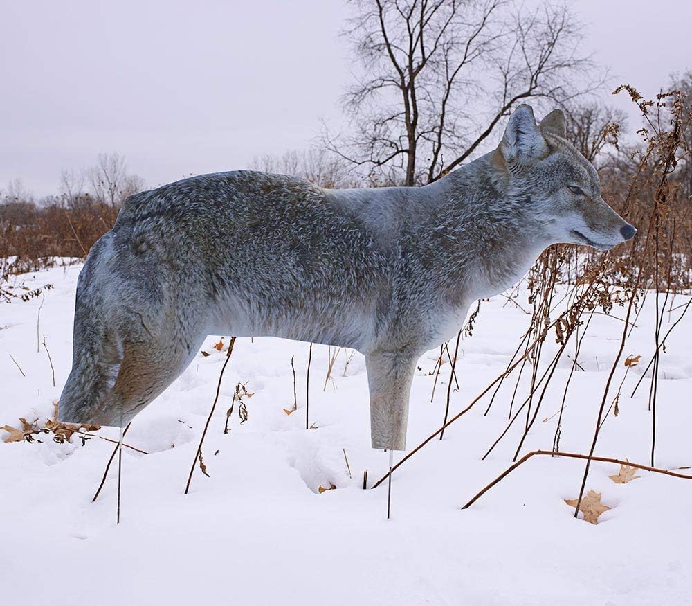 Anderson's TCDesignerProducts 2D Wildlife Silhouette Decoys, Photo-Realistic Hunting Decoys for Snow Geese, Coyotes, Whitetail Bucks & Does, Mallards, Turkeys, Canadian Geese – Motion & Easy Setup