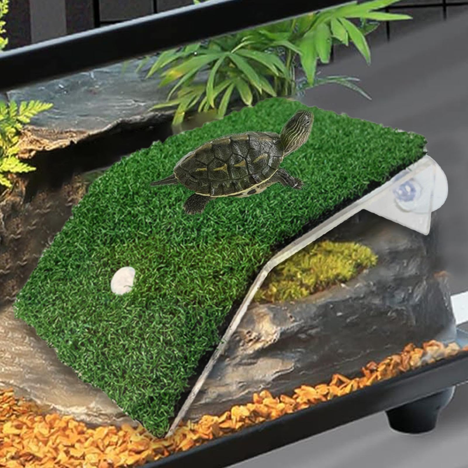 Amazon.co.jp: カメのバスキングスロープ - 中型カメ用バスキング