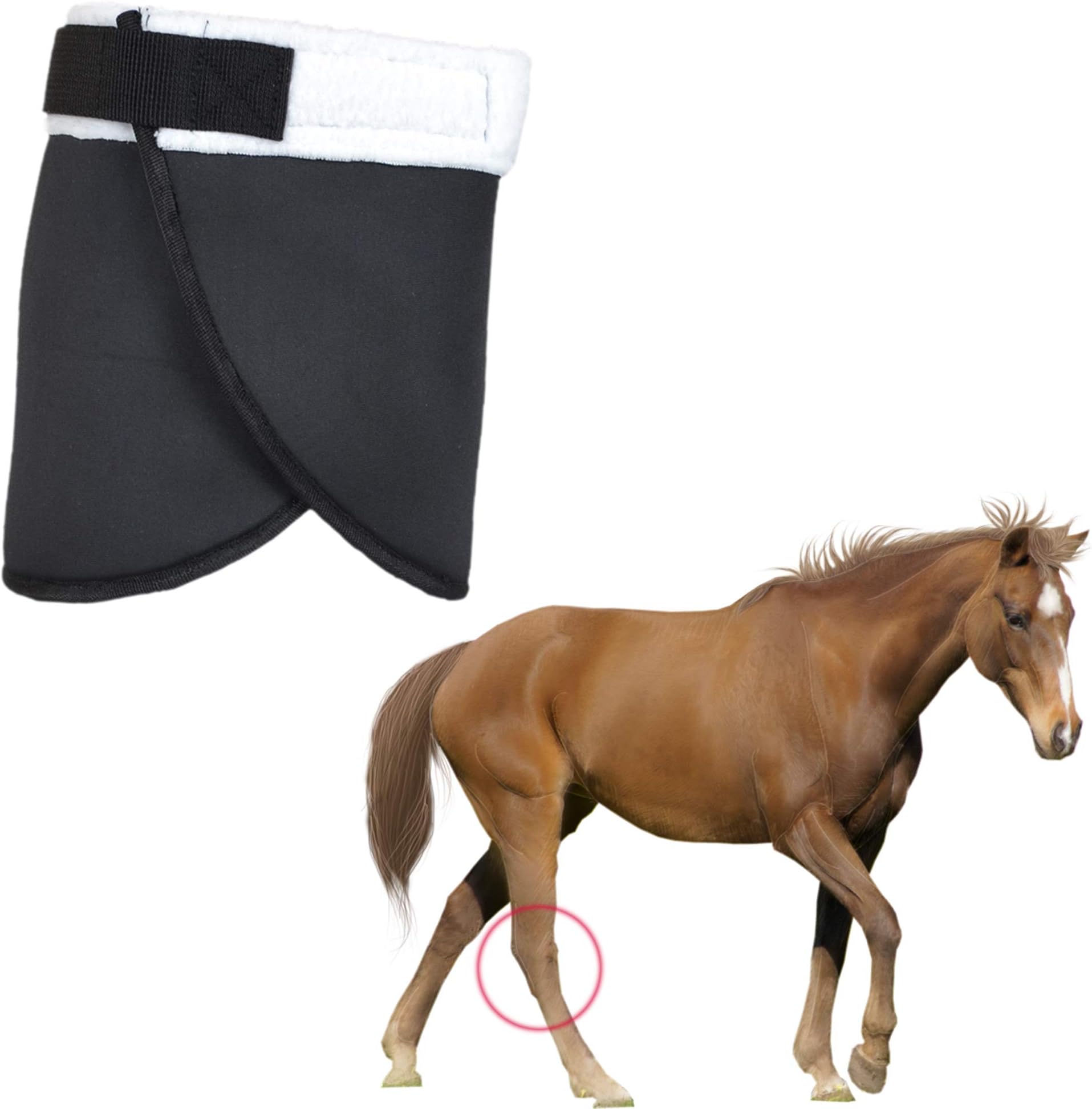 YUYUSO Hock Shield Protector for Horse Single Hock Wrap Neoprene Horse Hock Support Hock Boot
