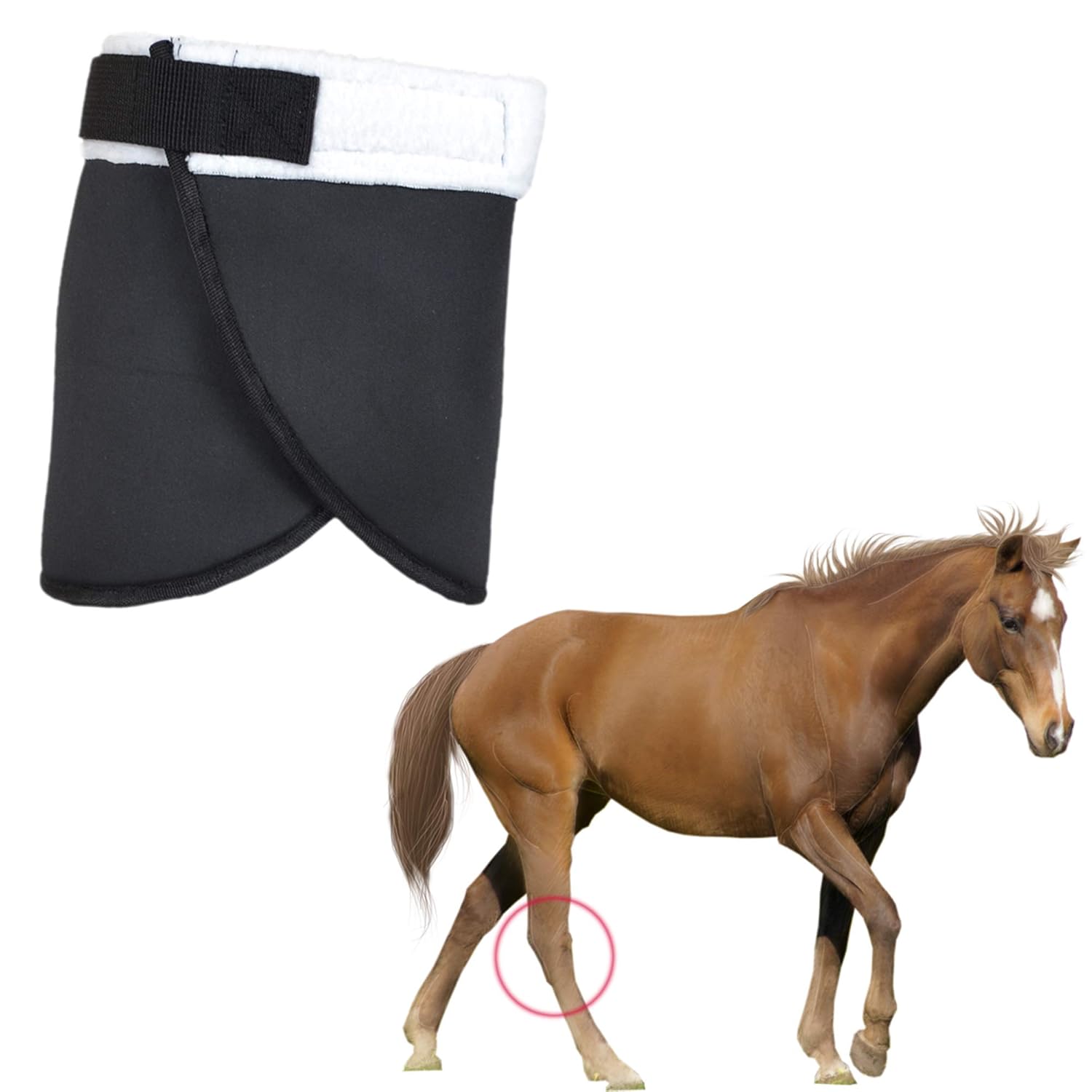 YUYUSO Hock Shield Protector for Horse Single Hock Wrap Neoprene Horse