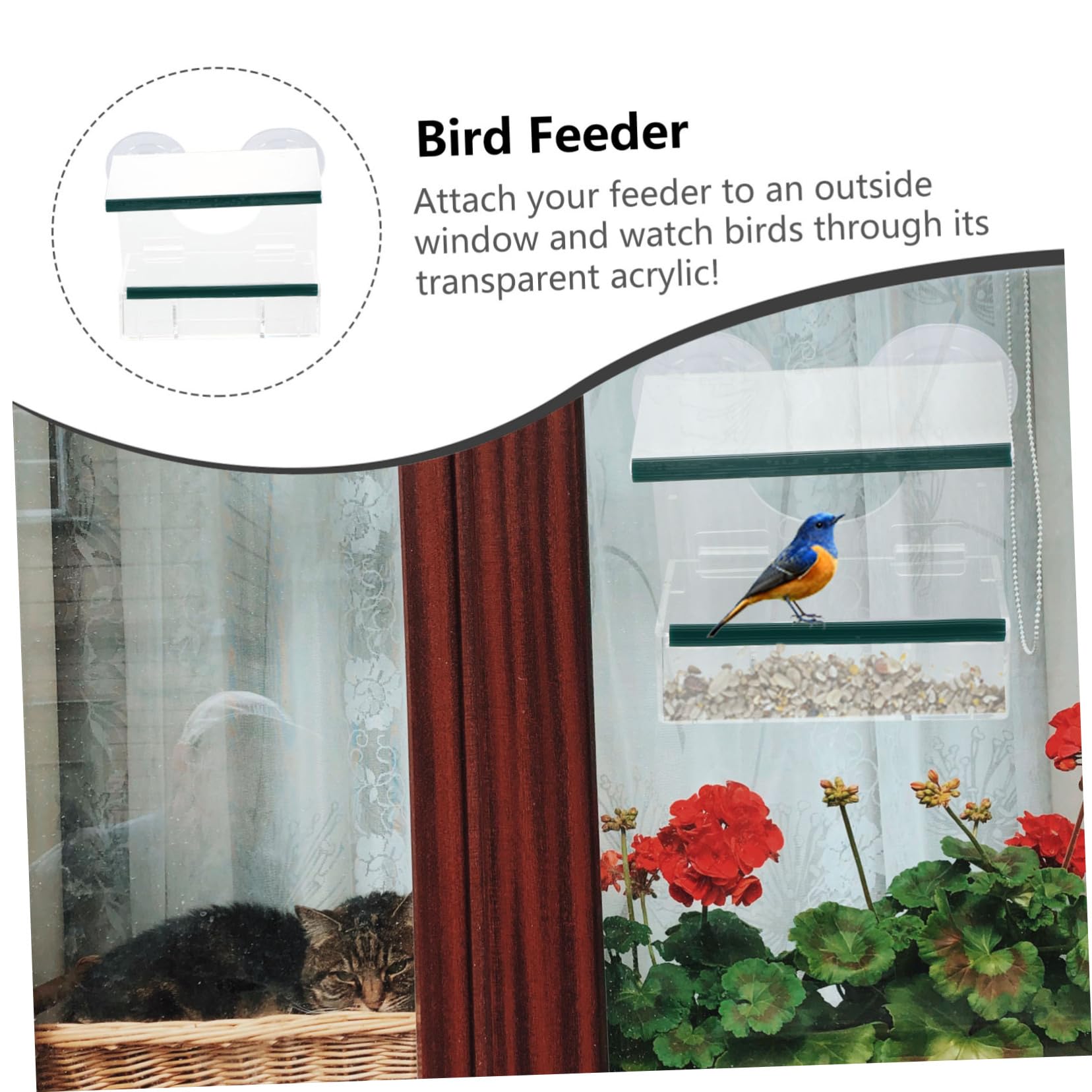Alimentador de Pájaros Colgante Transparente con Ventosa Estación de Alimentación Resistente para Exteriores Comedero Desmontable para Pequeños Pájaros para Ventanas y Jardín