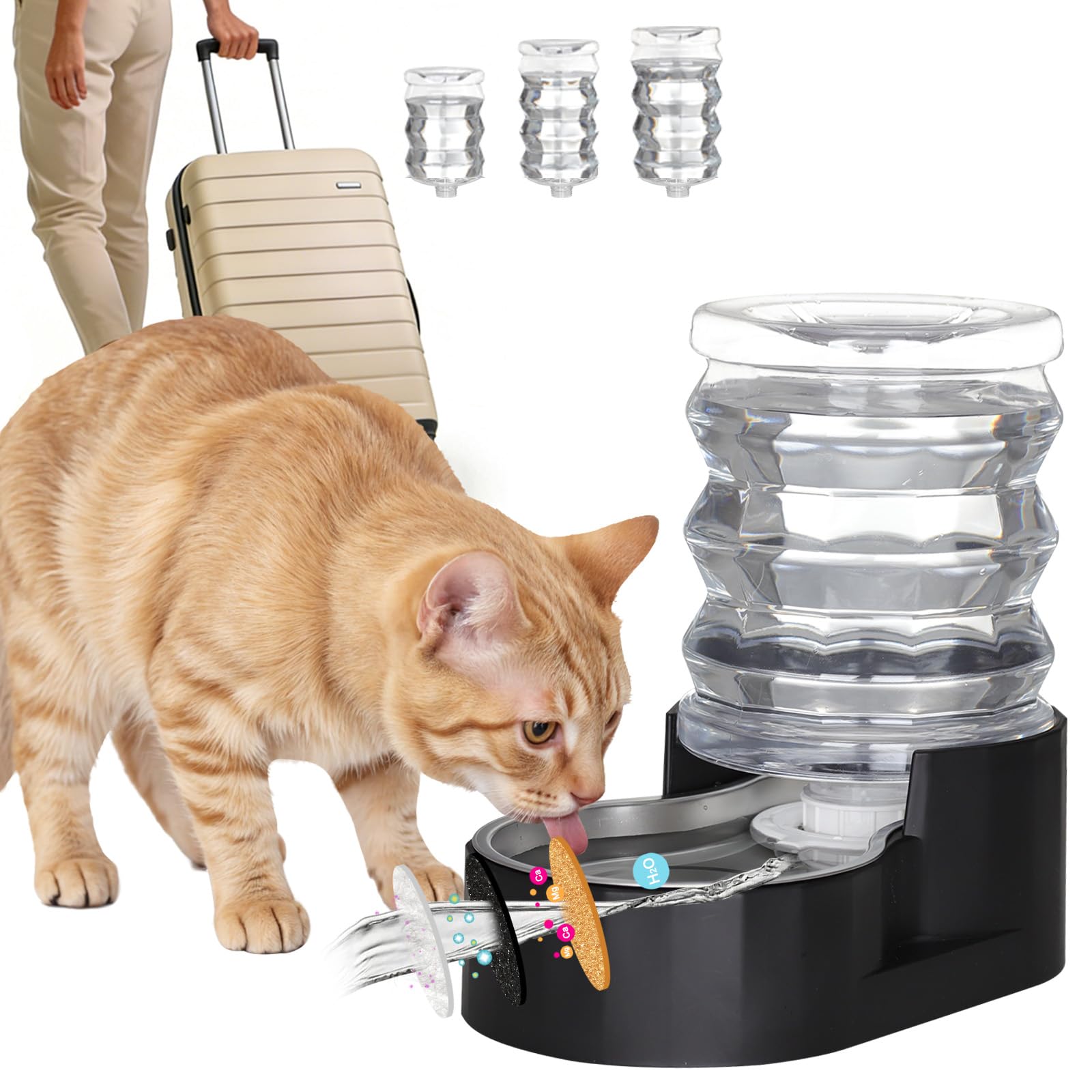 RIZZARI Dog Water Bowl Dispenser: 5L Gravity Black Automatic Stainless Steel Drinking Feeder with Filter for Dogs and Cats
