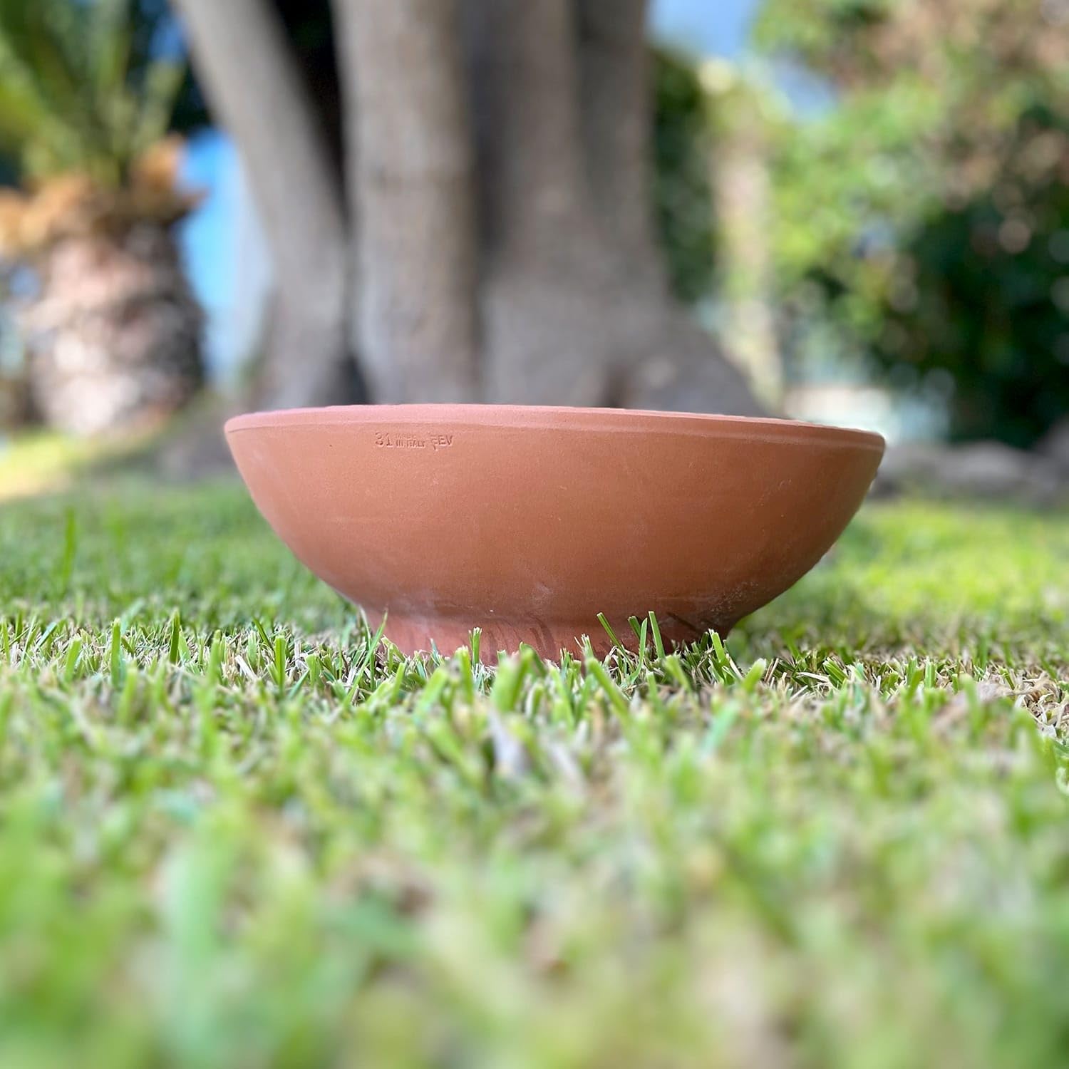 Generico Vaso Ciotola in Terracotta 52x19 cm – Vaso Artigianale Basso per Piante, Bonsai o Composizioni – Fatto a Mano in Italia – Ideale per Esterni e Interni