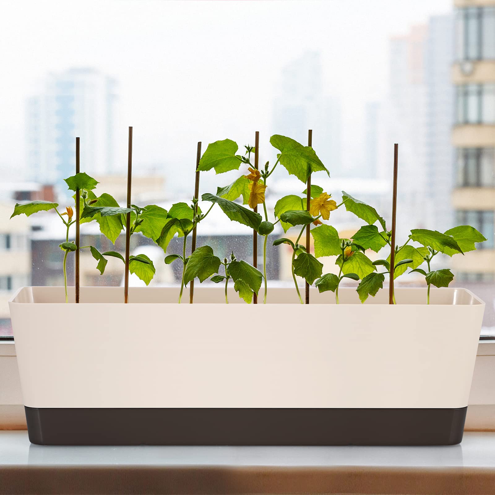 Skelang - Maceta rectangular de plástico, 42,5 cm, maceta rectangular para plantas suculentas, flores, violetas africanas, lote de 3