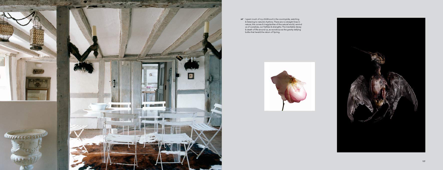 Reveal: Interior Design As a Reflection of Who We Are