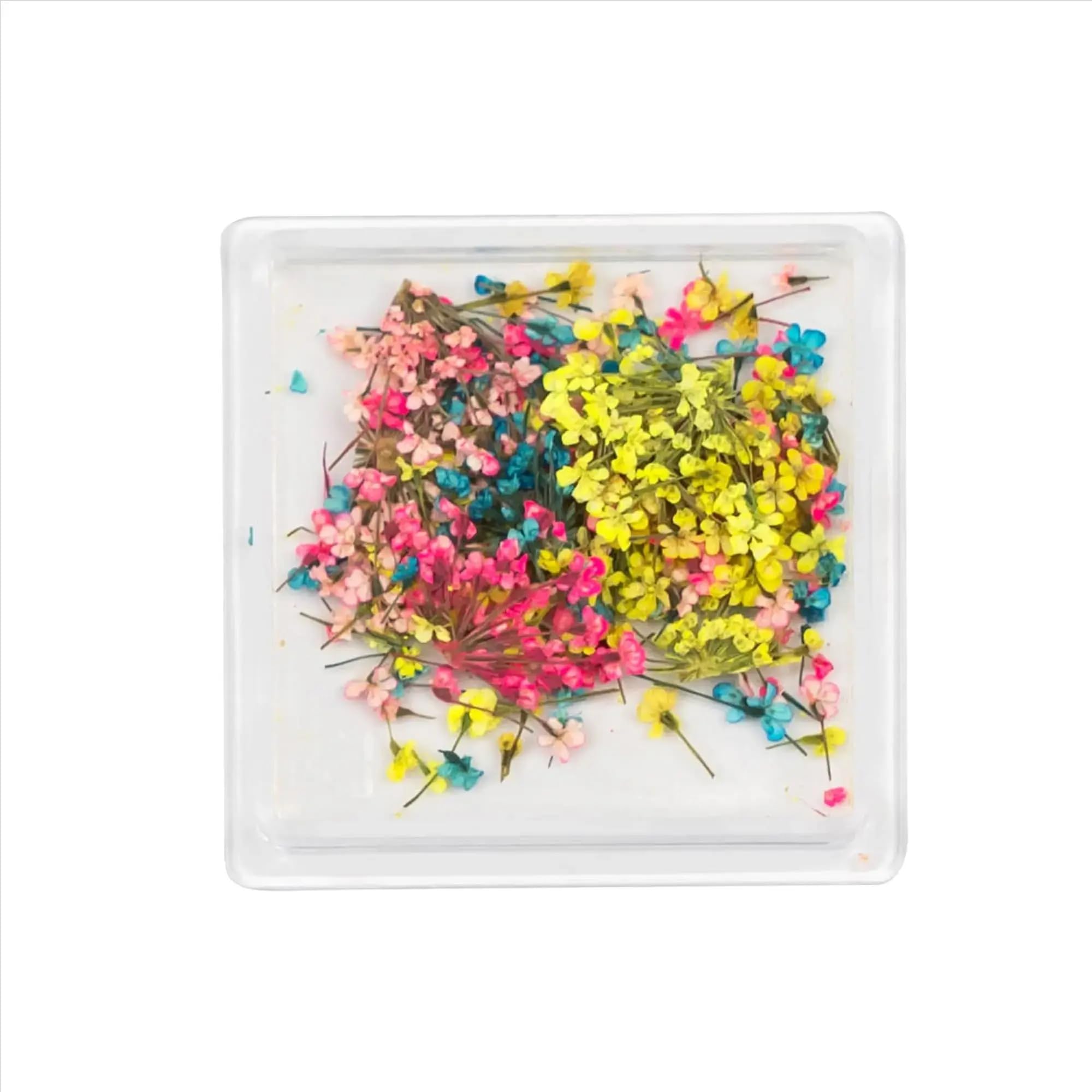 Savni Small Dried Mixed Flowers Arrangement in Square Box, Home Decoration, 4 x 4 x 8 cm (01)-image-11