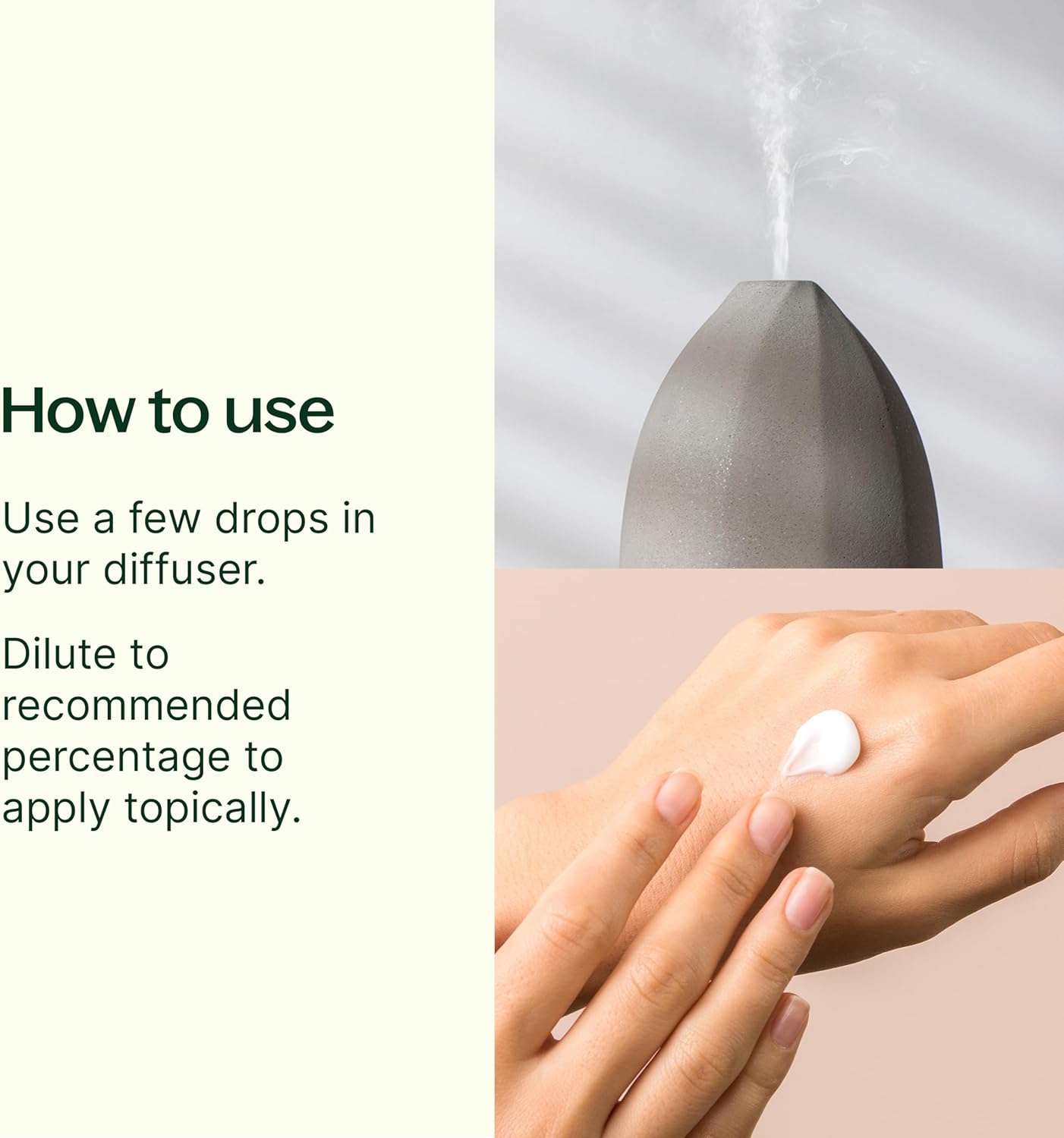 Plant Therapy Tropical Scents Home Set of 3 Essential Oil Blends Including Natural Scents to Scent Your Home with Honeybell, Lime in The Coconut & Tropical Passion 10 mL (1/3 oz) Each