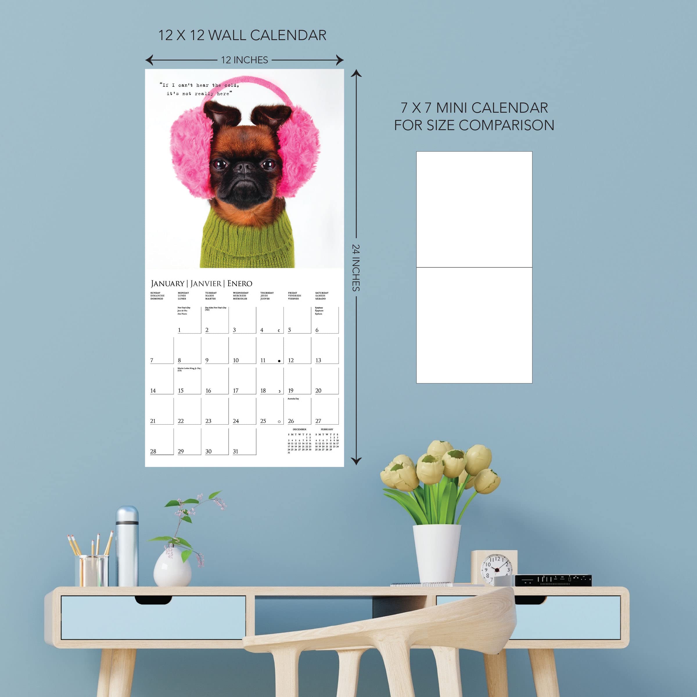 Graphique 2024 Pawparazzi Wall Calendar - Image 4