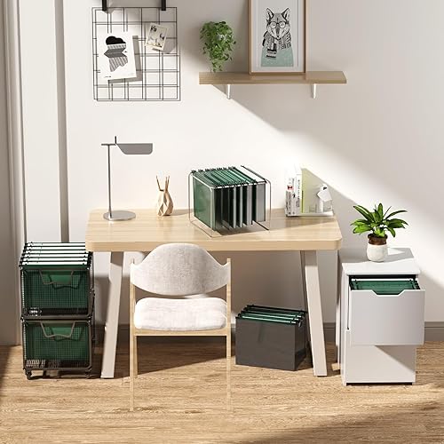 Miniatura 7 de Nordun Carpeta colgante de plástico tamaño carta, paquete de 12 carpetas colgantes reforzadas, carpetas de archivo, organizador colgante duradero,