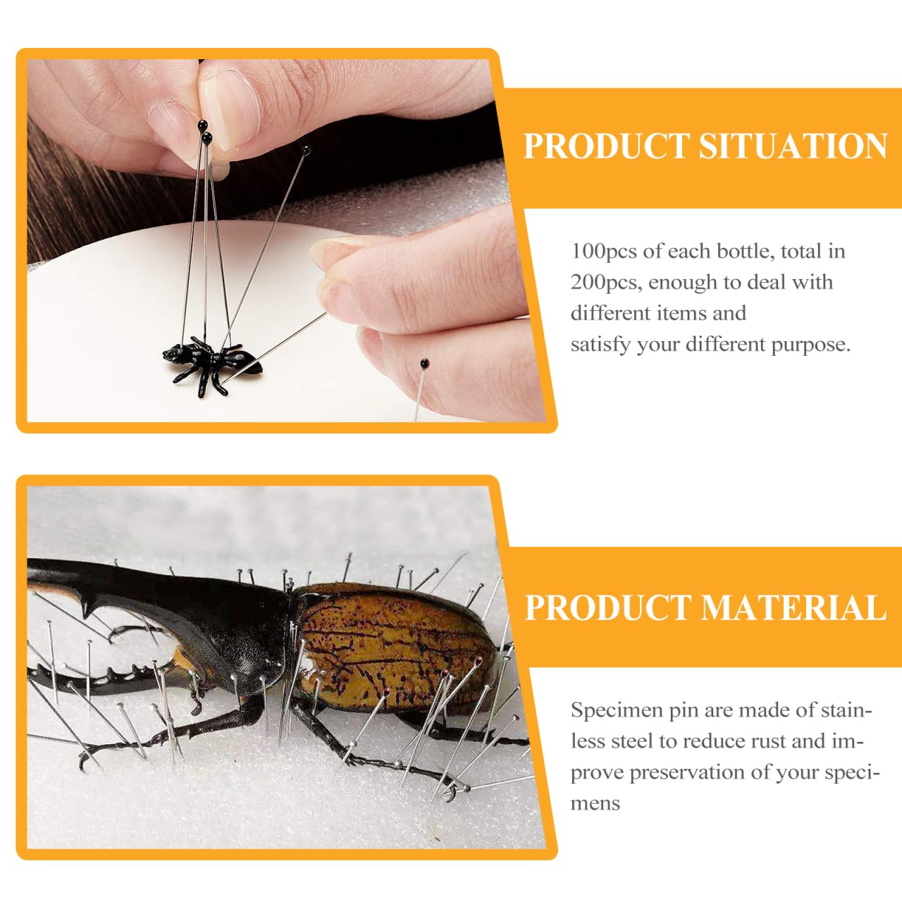 iplusmile Insekt Pin für Entomologie - 200 Stück Insektennadeln Edelstahl Insekten Pin für Schülerlabor Entomologie Auflösung Schmetterlinge Sammler, 4.2x0.1cm