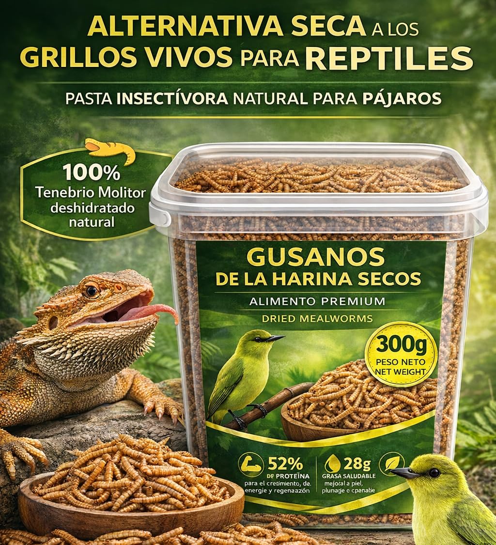 AF® Gusanos de la Harina Deshidratados 300g, 2,5L Tenebrios Molitor Natural para Reptiles, Erizos y Gusanos para Pájaros, Snack Alto en Proteína 52%, Comida para Vencejos 100% Natural — view 2