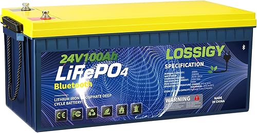 Miniatura 7 de LOSSIGY Batería de litio de 12 V LiFePO4, de 12 voltios y 100 Ah para motor de arrastre, perfecta para sistema solar, RV, marino, 1280 Wh con BMS