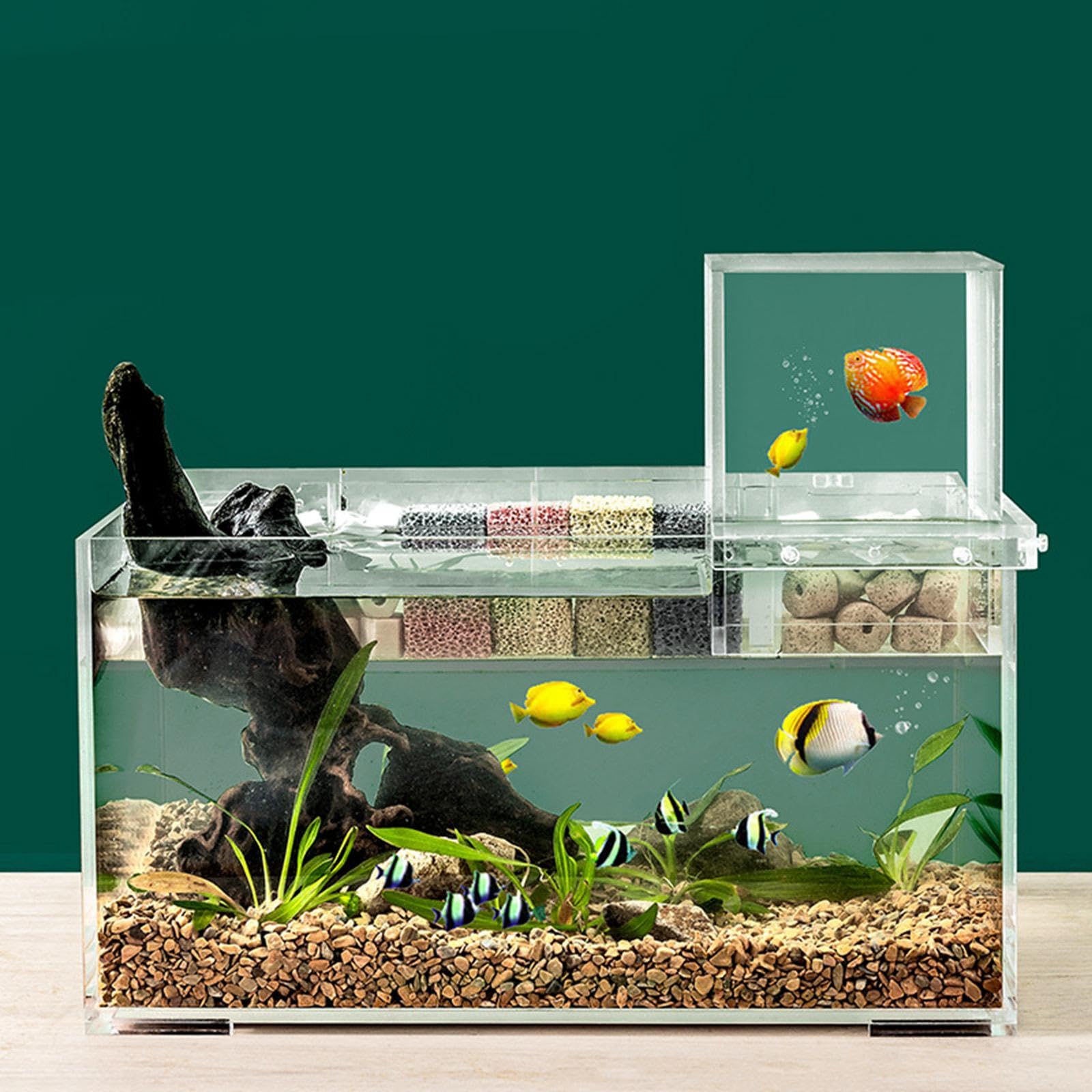 Mini Aquarium Aquarium à Pression Négative Aquarium de Bureau Inversé Boîte Créative D'Élevage de Poissons Accessoire Décoratif en Acrylique A