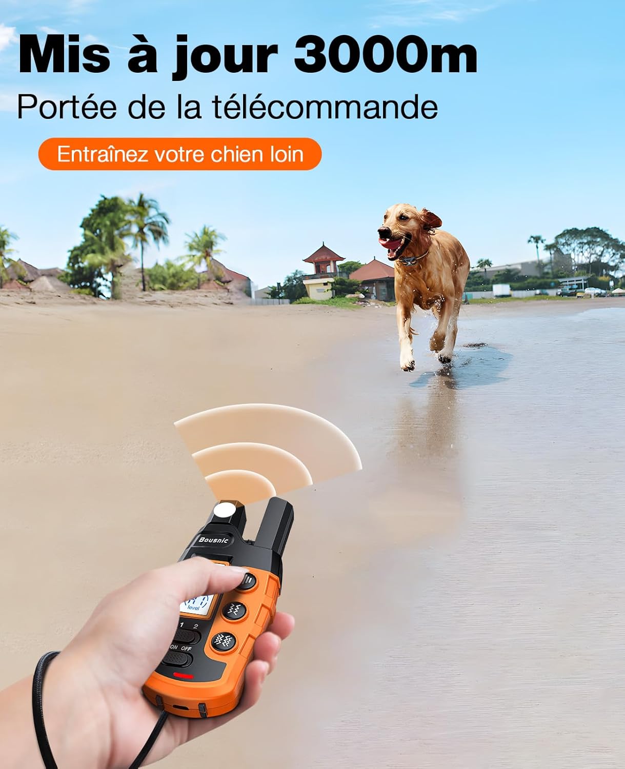 Collier étanche et télécommande Bousnic