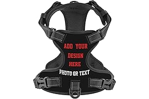 Personalized Dog Harness with Custom Adjustable Name