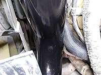 Review Image by Cattlekings Cattlekings