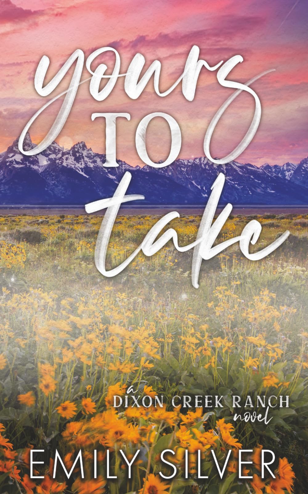 Yours To Take Special Edition Paperback (Dixon Creek Ranch Special Edition Paperbacks)