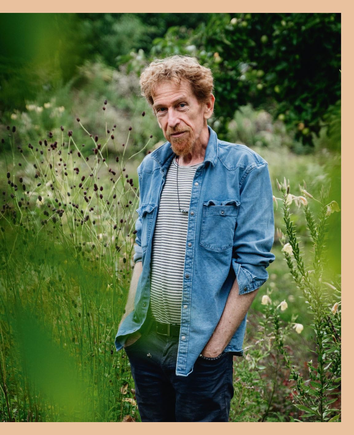 Aimer, cueillir et protéger nos plantes médicinales: Pour une cueillette écoresponsable