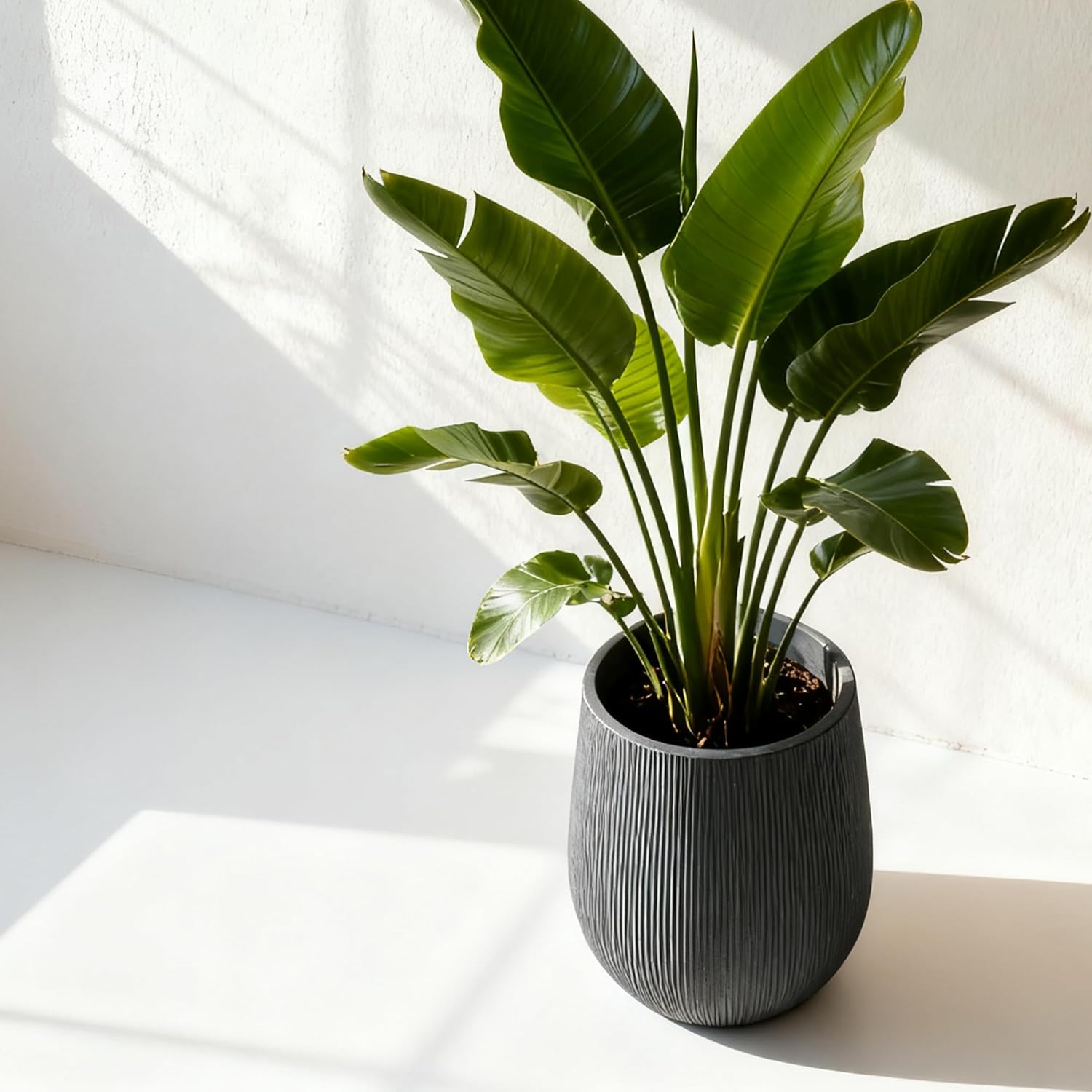 Worth Garden Dark Gray Round Planter, 9" Dia x 13" H Lightweight Magnesium Oxide Cement Plant Pot with a Striped Textured Finish, Raised Pattern Concrete Look, Drainage Hole, Indoor & Outdoor Use