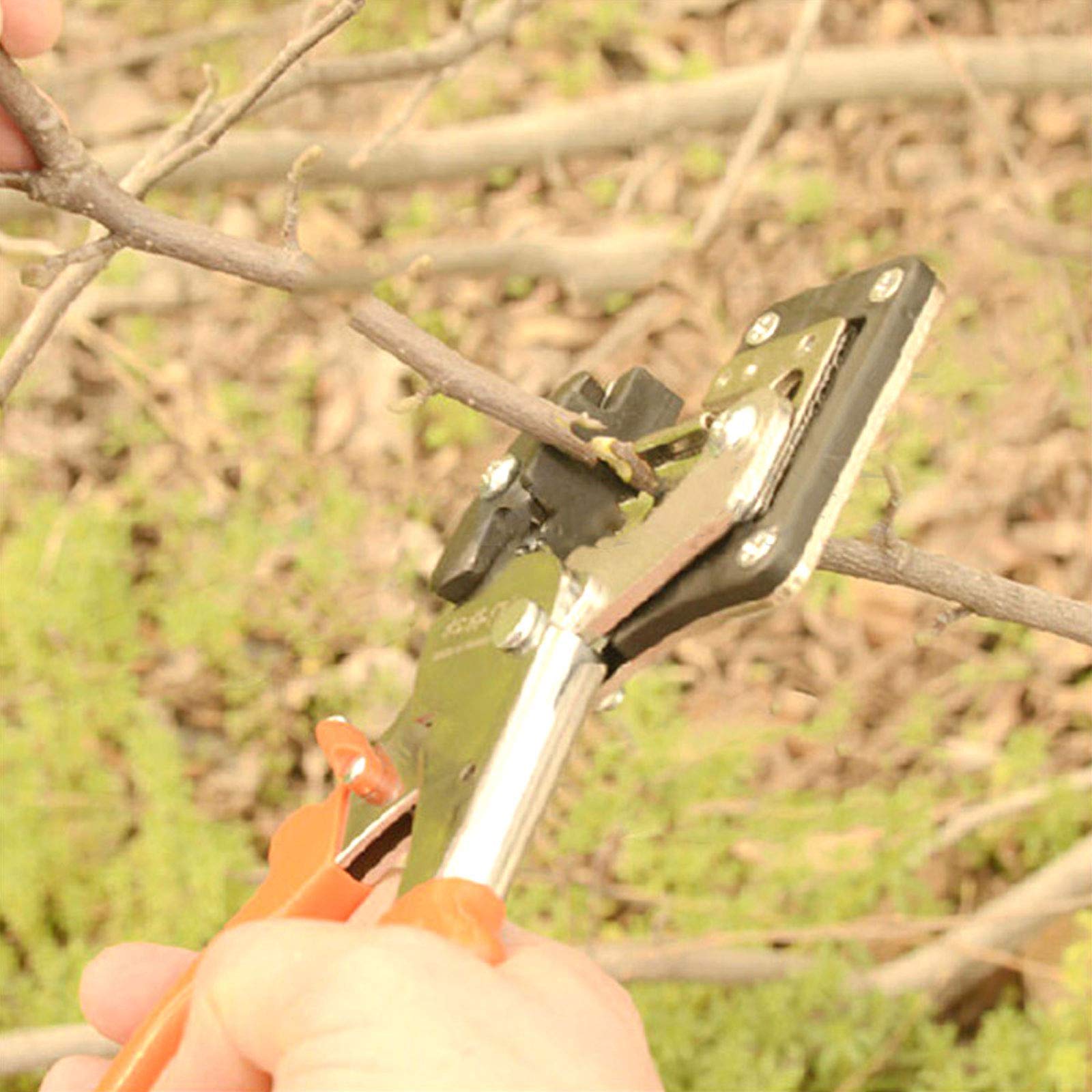 Forbici per Innesto e Potatura Forbici Innesto Professionale Kit, Giardino Innesto Kit Professionali Cesoia Forbici da Potatura Set da Giardinaggio, Facile da Usare, Design Ergonomico Dell'impugnatura