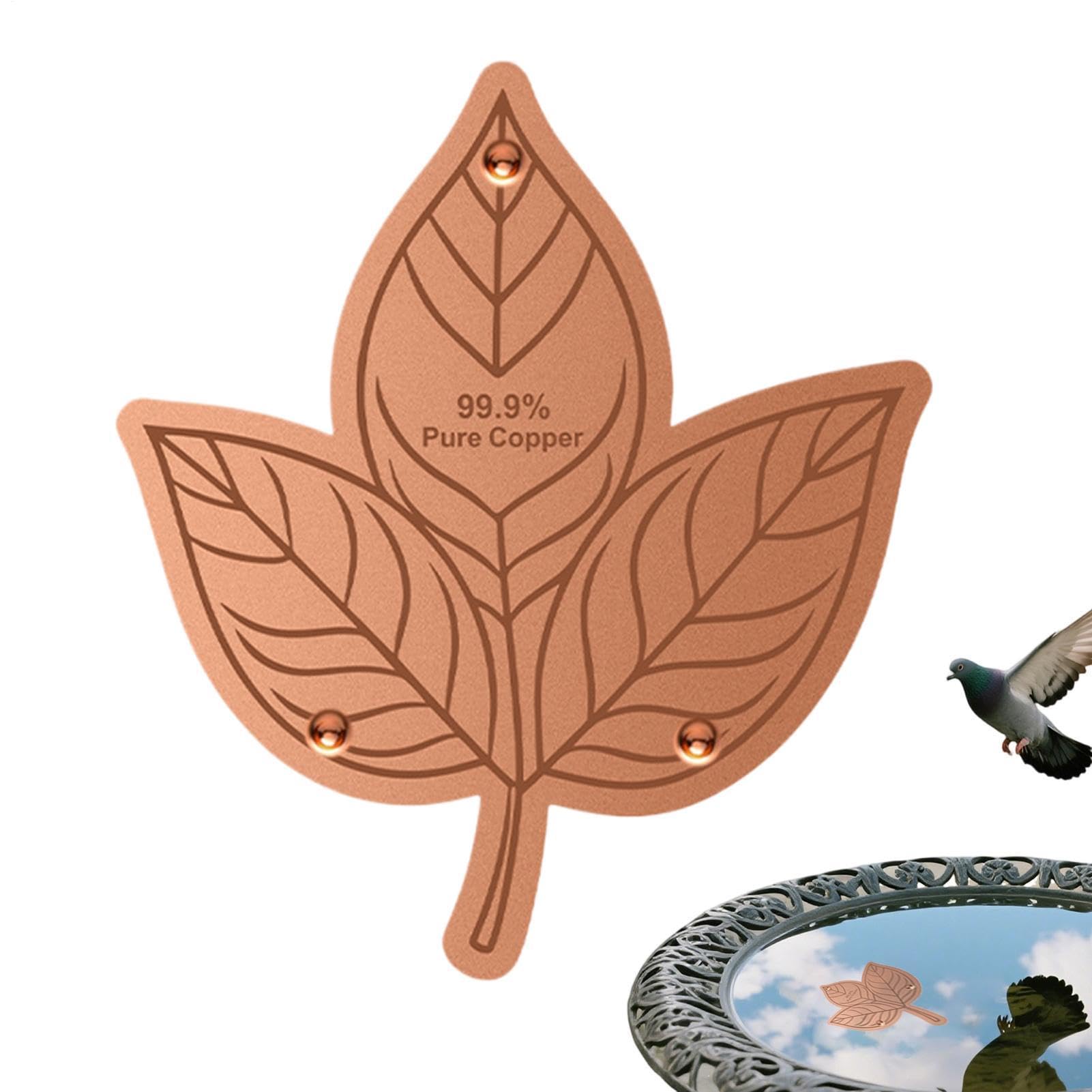 Copper Bird Bath Disc - Natural Algae Prevention Coin, Mini Water Clarifying Shield, Small Slime Inhibitor, Lightweight Fountain Protector and Anti-r
