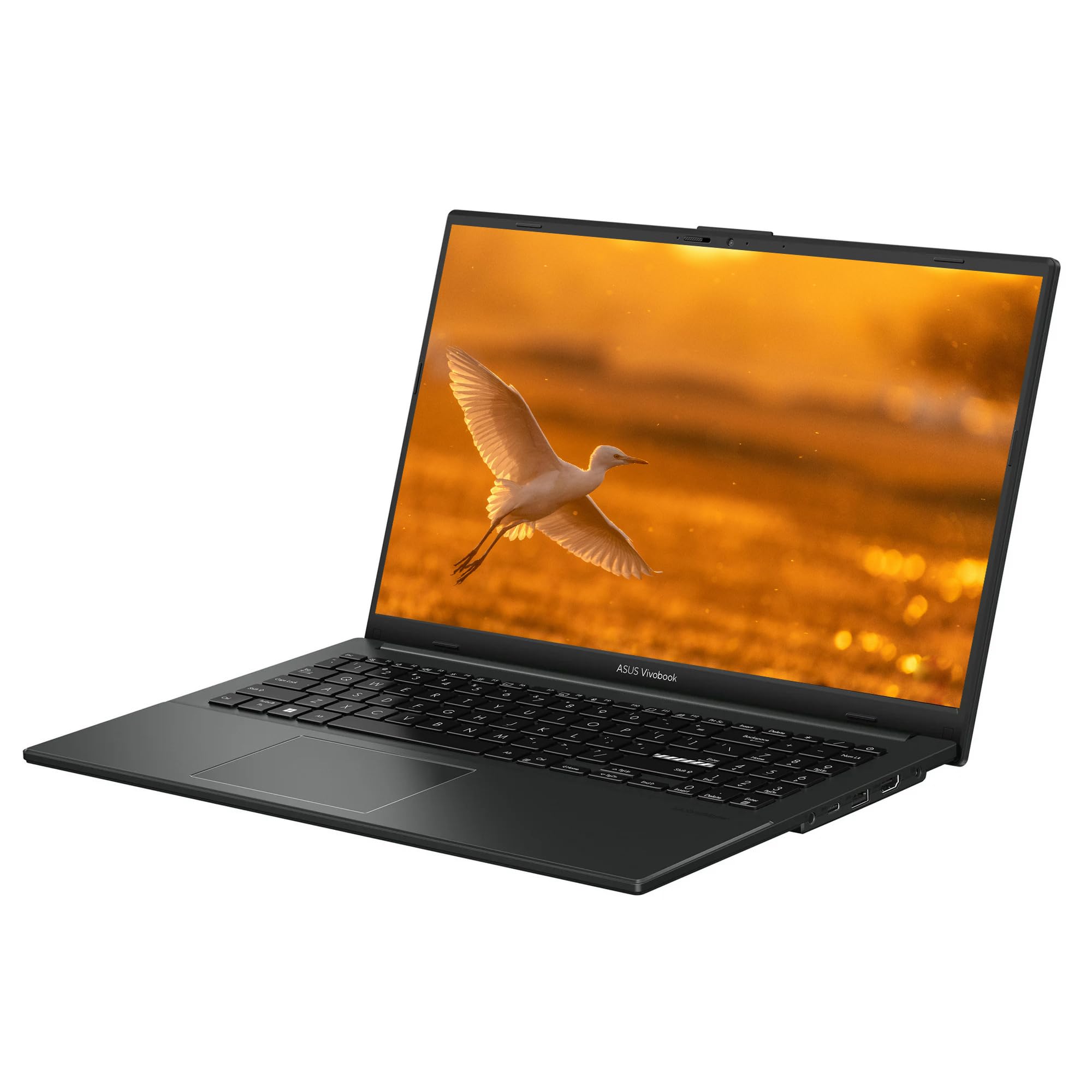 Amazon.com: ASUS 2025 Lightweight Laptop, 15